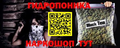 молекула духа Будённовск