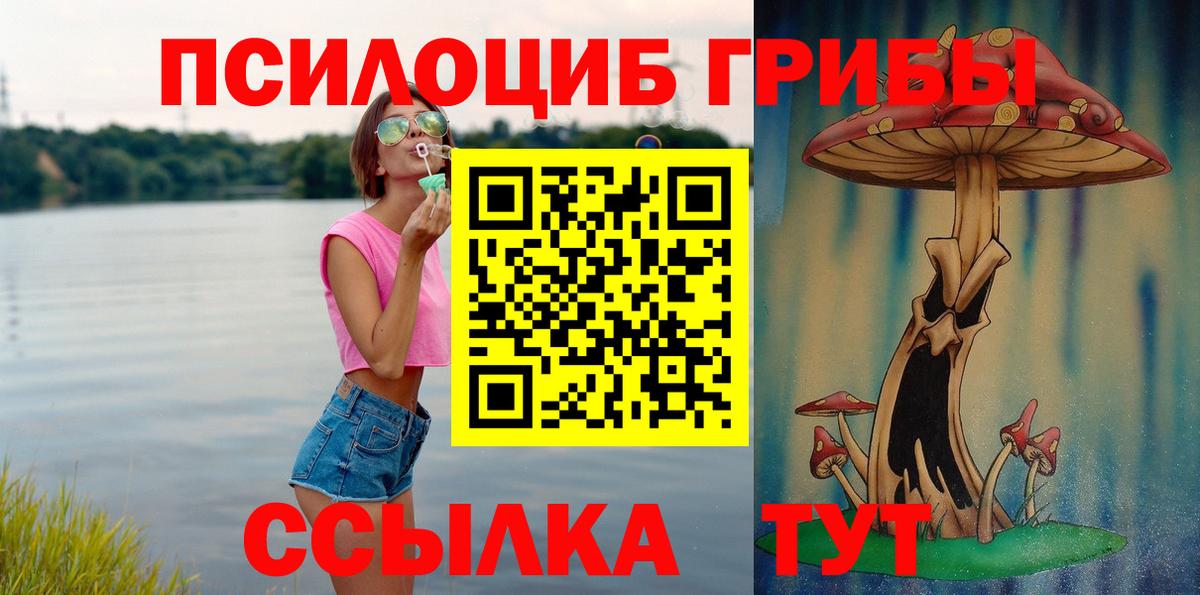 Псилоцибиновые грибы мицелий Советский