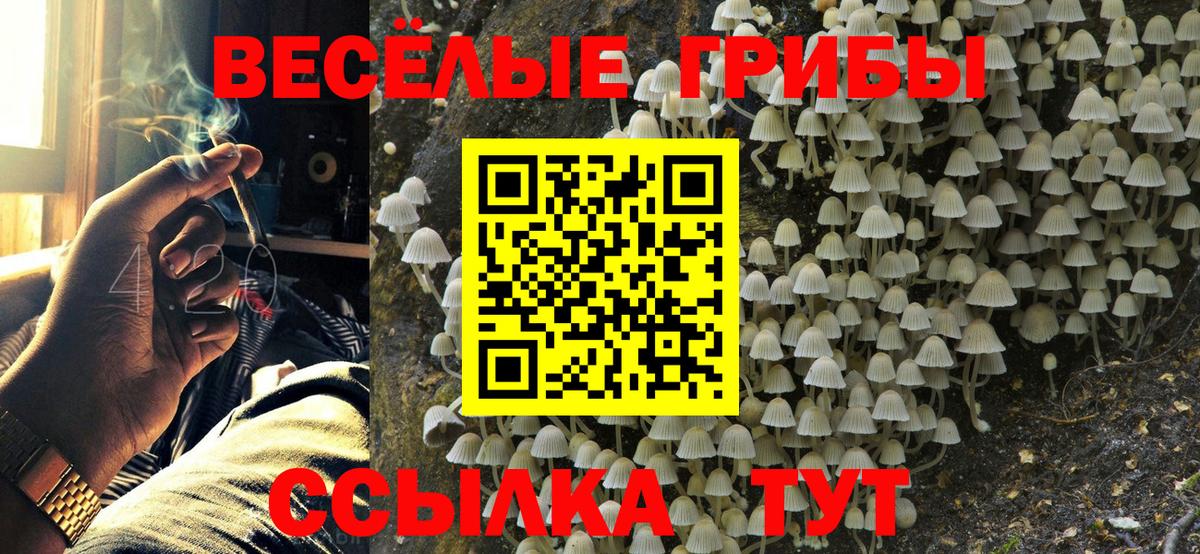Галлюциногенные грибы MAGIC MUSHROOMS  продажа наркотиков  Вход с VPN  Советский  Галлюциногенные грибы Psilocybine cubensis 